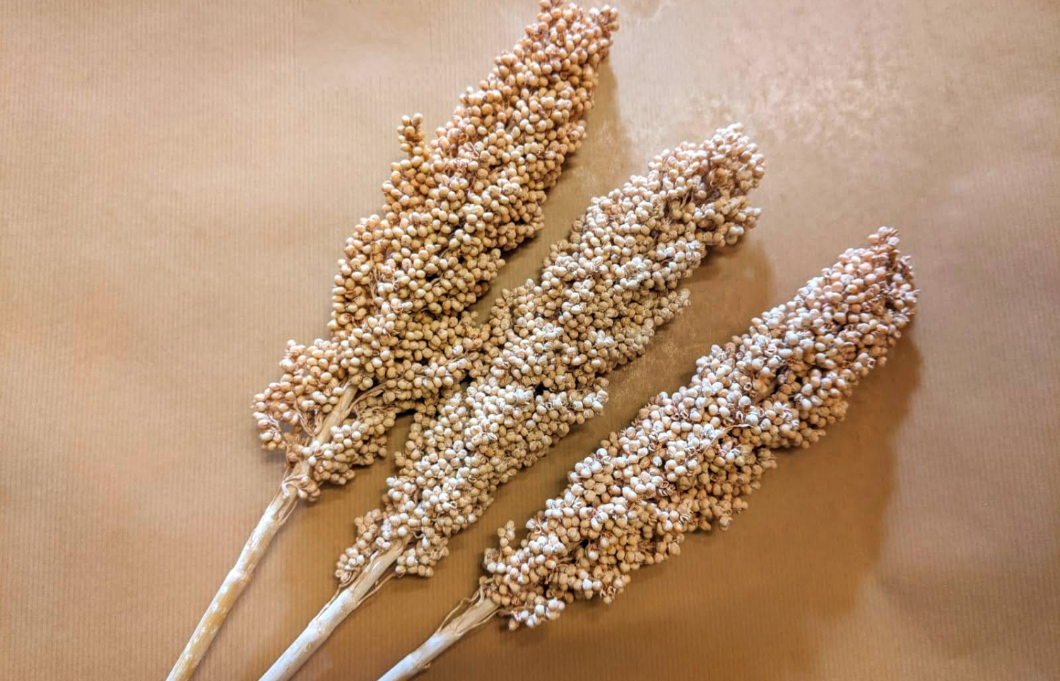 Dried Indian Millet