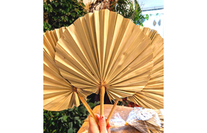 Natural Dried Palm Fans