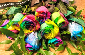 Rainbow Rose Dozen